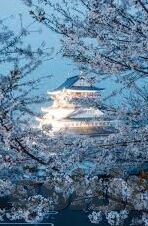 2021国产麻豆传媒-聚焦2021国产麻豆传媒，娱乐与文化的新探索