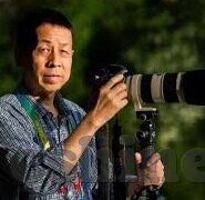 91madou麻豆-从91madou麻豆看在线视频平台的内容管理与创新