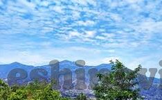 麻豆成人av在线播放-网络行为与伦理，麻豆成人AV的虚幻与现实