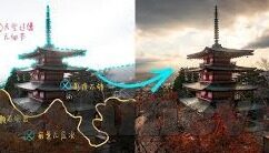 麻豆在线短视频-麻豆在线短视频的多元魅力与影响