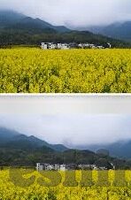 女教师伦理-女教师伦理，塑造未来之光的柔软力量