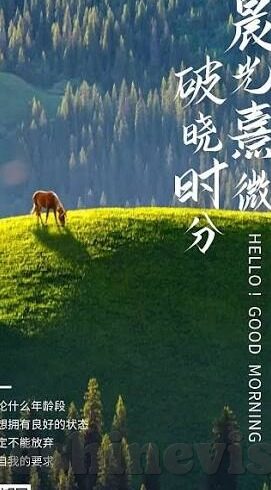 糖心vlog官方网站-揭开糖心Vlog官方网站，创意生活记录的新篇章