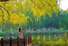 亚洲av日韩av蜜桃在线播放-亚洲与日韩AV文化，蜜桃在线播放的多元视角
